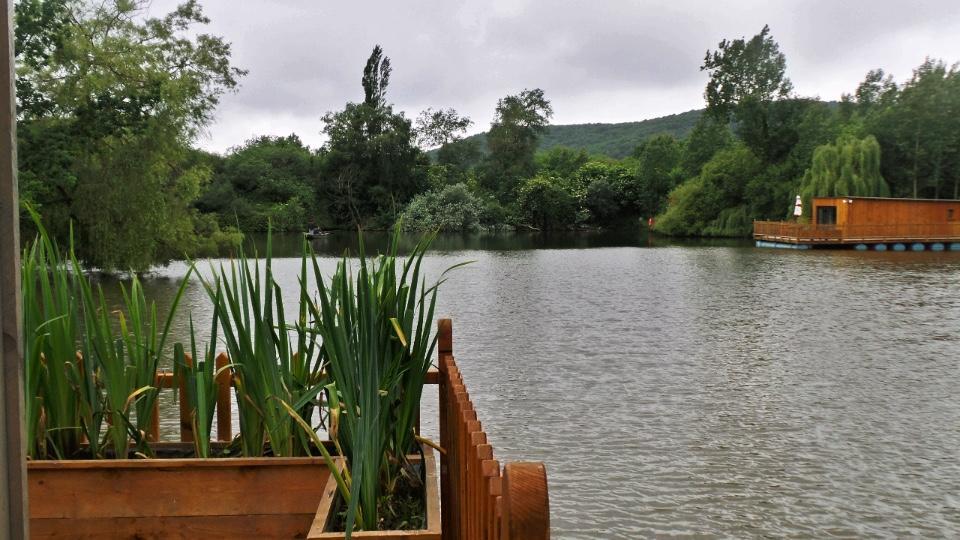 Flottantes Et Au Fil De L'eau Hébergement de vacances Colleville